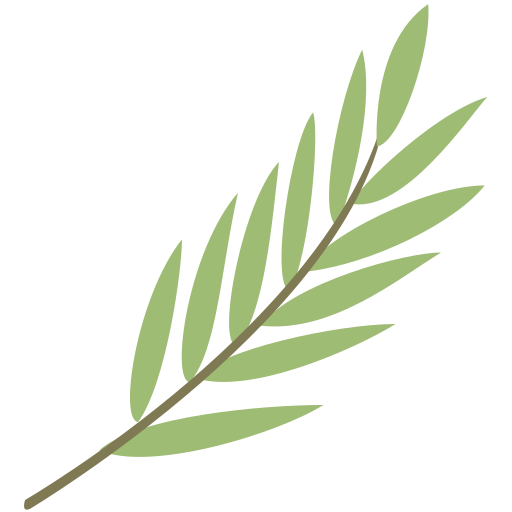 Tropical Leaf